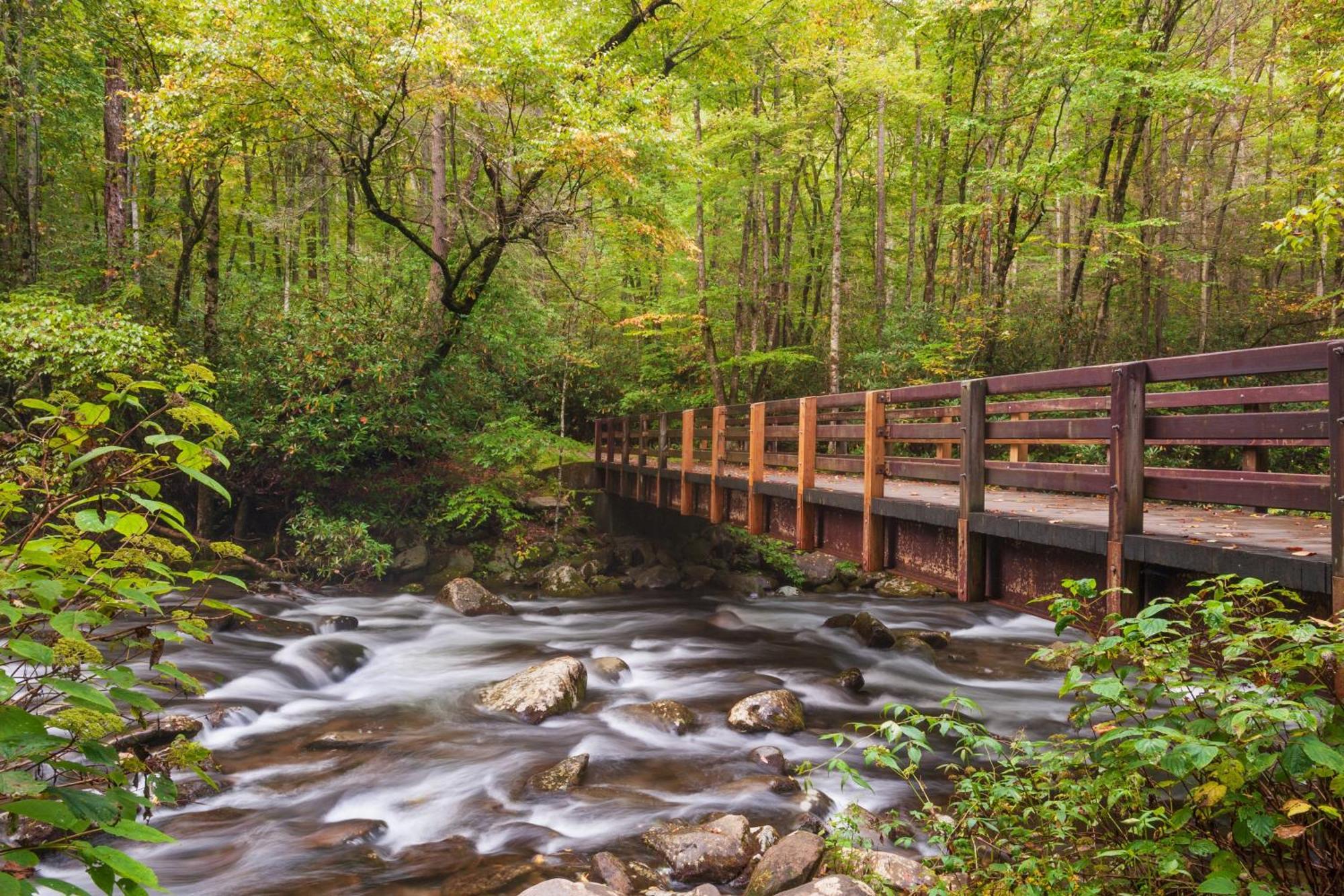 Magical Moments, Hot Tub, Wifi, 1089 Free Tickets Each Paid Day, Dollywood And More Gatlinburg Exterior photo